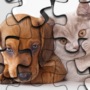 Cat Vs Dog Puzzle